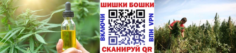 Cannafood конопля  как найти   Бузулук 