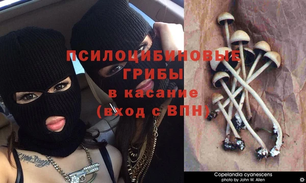 COCAINE Баксан