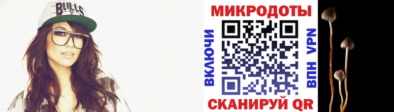 Псилоцибиновые грибы GOLDEN TEACHER  Бузулук 